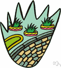 garden plant - any of a variety of plants usually grown especially in a flower or herb garden