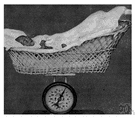 preterm baby - an infant that is born prior to 37 weeks of gestation