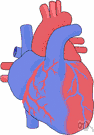 vena basalis - a large vein passing along the medial surface of the temporal lobe and emptying into the great cerebral vein