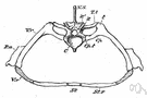 transverse process - one of two processes that extend from each vertebra and provide the point of articulation for the ribs