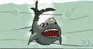 Carcharodon - man-eating sharks