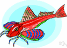 sea robin - American gurnard