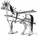 cheekpiece - either of two straps of a bridle that connect the bit to the headpiece
