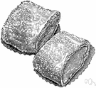 strudel - thin sheet of filled dough rolled and baked