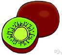 Chinese gooseberry - fuzzy brown egg-shaped fruit with slightly tart green flesh
