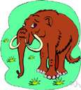 Mammutidae - extinct family: mastodons