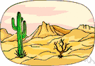 Sonoran Desert - a desert in southwestern Arizona