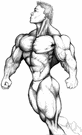 muscular - having a robust muscular body-build characterized by predominance of structures (bone and muscle and connective tissue) developed from the embryonic mesodermal layer