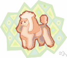 miniature poodle - a breed of small poodles