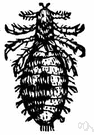 sucking louse - wingless usually flattened bloodsucking insect parasitic on warm-blooded animals