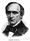 Harvery Williams Cushing - United States neurologist noted for his study of the brain and pituitary gland and who identified Cushing's syndrome (1869-1939)