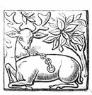 royal stag - stag with antlers of 12 or more branches