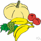 Musa paradisiaca sapientum - widely cultivated species of banana trees bearing compact hanging clusters of commercially important edible yellow fruit