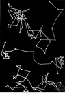 Brownian movement - the random motion of small particles suspended in a gas or liquid