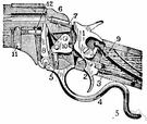 firing mechanism - the action that ignites the charge in a firearm