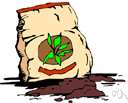 top dressing - a layer of fertilizer or manure not plowed in