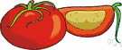 Lycopersicon - tomatoes