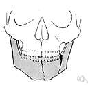 genial - of or relating to the chin or median part of the lower jaw