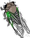 Aculea - small spiny outgrowth on the wings of certain insects