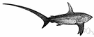 Fox shark - large pelagic shark of warm seas with a whiplike tail used to round up small fish on which to feed