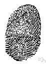 bullet fingerprinting