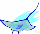 devilfish - extremely large pelagic tropical ray that feeds on plankton and small fishes