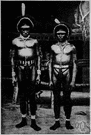 Papuan language - any of the indigenous languages spoken in Papua New Guinea or New Britain or the Solomon Islands that are not Malayo-Polynesian languages