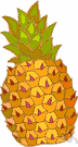 pineapple family - a family of tropical American plants of order Xyridales including several (as the pineapple) of economic importance