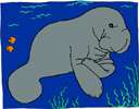 family Trichechidae - comprising only the manatees