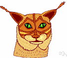 common lynx - of northern Eurasia