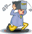 tax collector - someone who collects taxes for the government