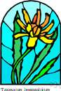 taraxacum - an asterid dicot genus of the family Compositae including dandelions