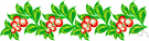 garland flower - widely cultivated low evergreen shrub with dense clusters of fragrant pink to deep rose flowers