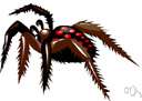 spider - predatory arachnid with eight legs, two poison fangs, two feelers, and usually two silk-spinning organs at the back end of the body