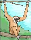 hang