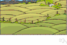 prospect - the visual percept of a region