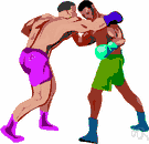 prize fight - a boxing match between professional boxers for a cash prize