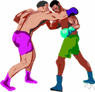 prizefight - a boxing match between professional boxers for a cash prize