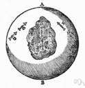 variation - the angle (at a particular location) between magnetic north and true north