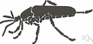 Culicidae - mosquitoes
