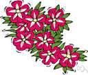 violet-flowered petunia