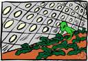 aquiculture