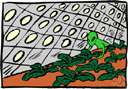 hydroponics - a technique of growing plants (without soil) in water containing dissolved nutrients