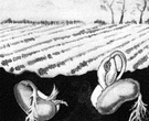 bean sprout - any of various sprouted beans: especially mung beans or lentils or edible soybeans