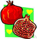 pomegranate tree - shrub or small tree native to southwestern Asia having large red many-seeded fruit