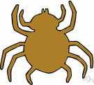 spider mite - web-spinning mite that attacks garden plants and fruit trees
