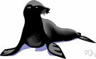 aquatic mammal - whales and dolphins