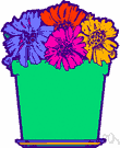 Townsendia - genus of western American low tufted herbs: Easter daisy