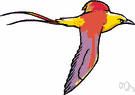 tropicbird - mostly white web-footed tropical seabird often found far from land
