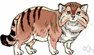 manul - small wildcat of the mountains of Siberia and Tibet and Mongolia